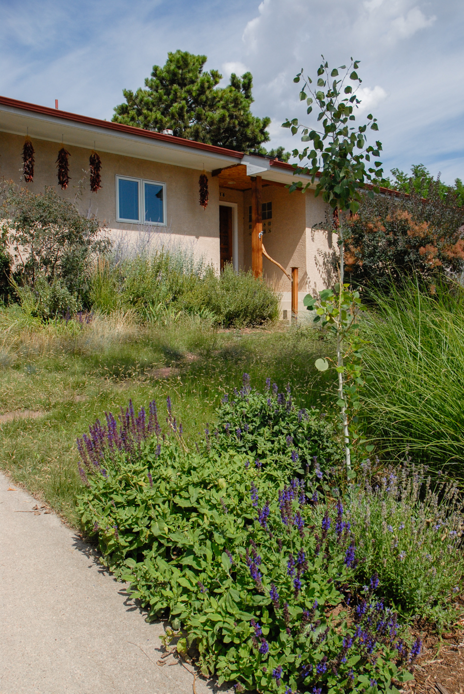 Southwest Spin Xeriscape